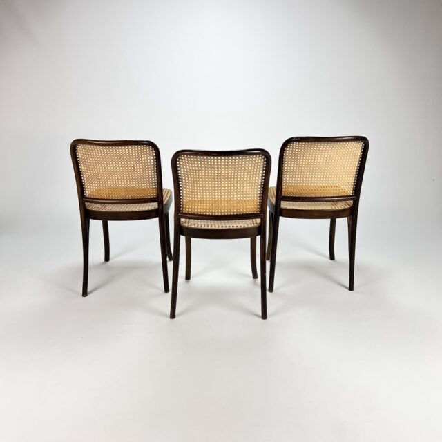 Set of 3 No. 811 Chairs by Josef Hoffman for FMG, 1960s