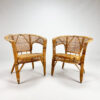 Set of 2 Mid Century Rattan Easy Chairs, 1960s