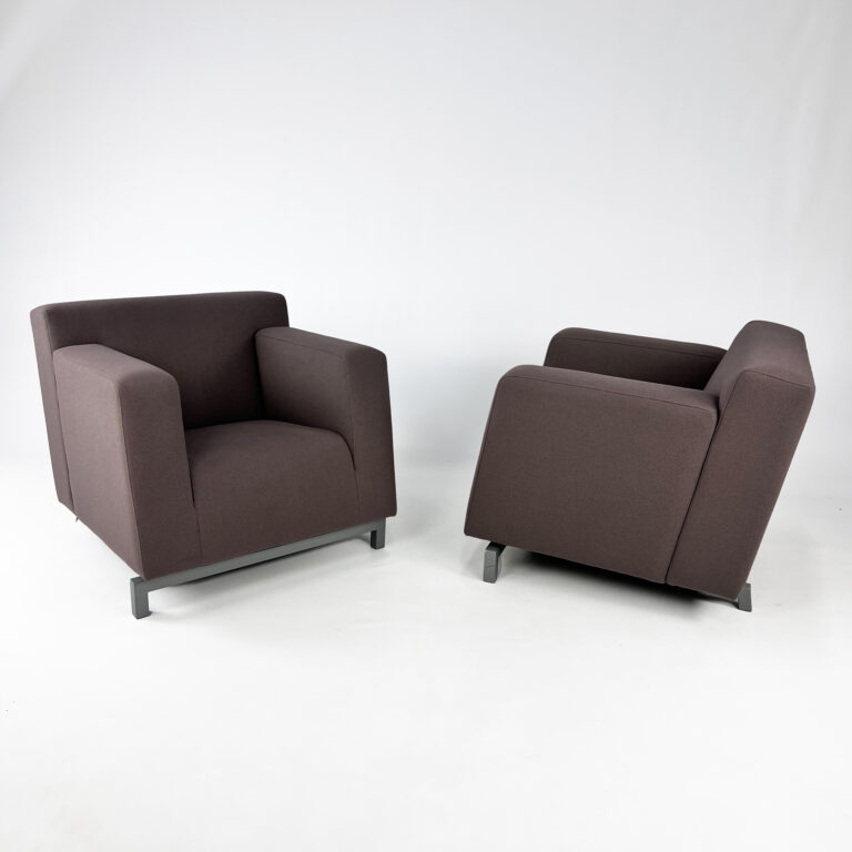 Set of 2 Pastoe Roots Lounge Chairs by Hannes Wettstein, 1998