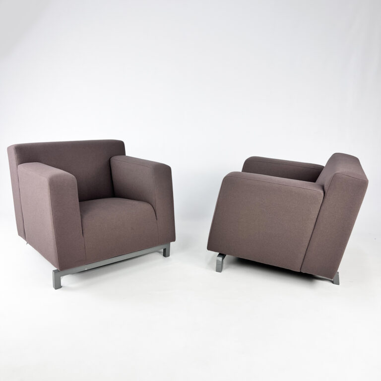 Set of 2 Pastoe Roots Lounge Chairs by Hannes Wettstein, 1998
